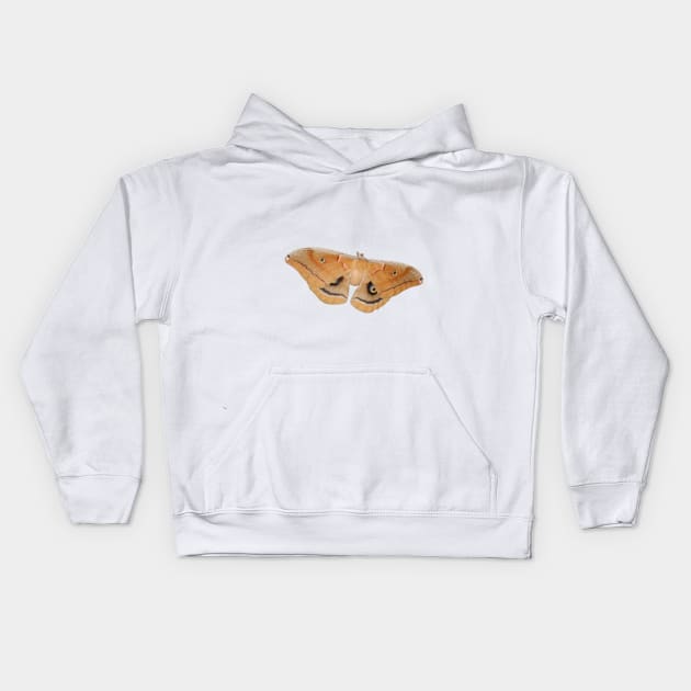 Beautiful Polyphemus Moth Close Up Kids Hoodie by starcraft542